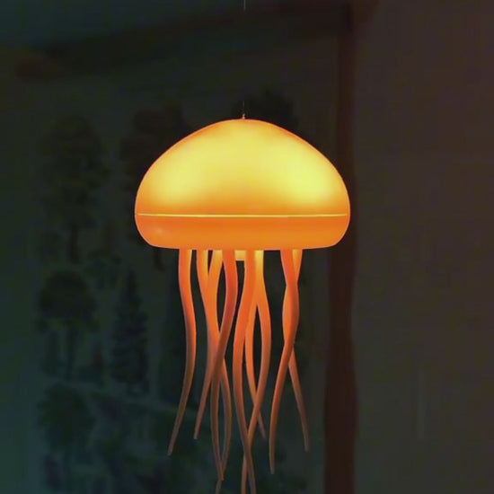 jellyfish action video