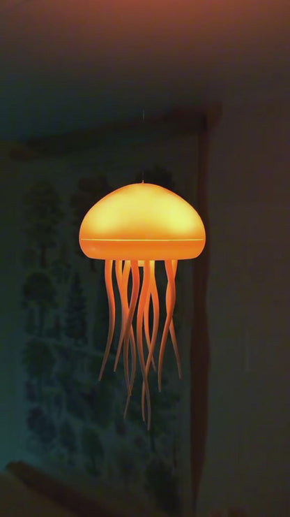 jellyfish action video